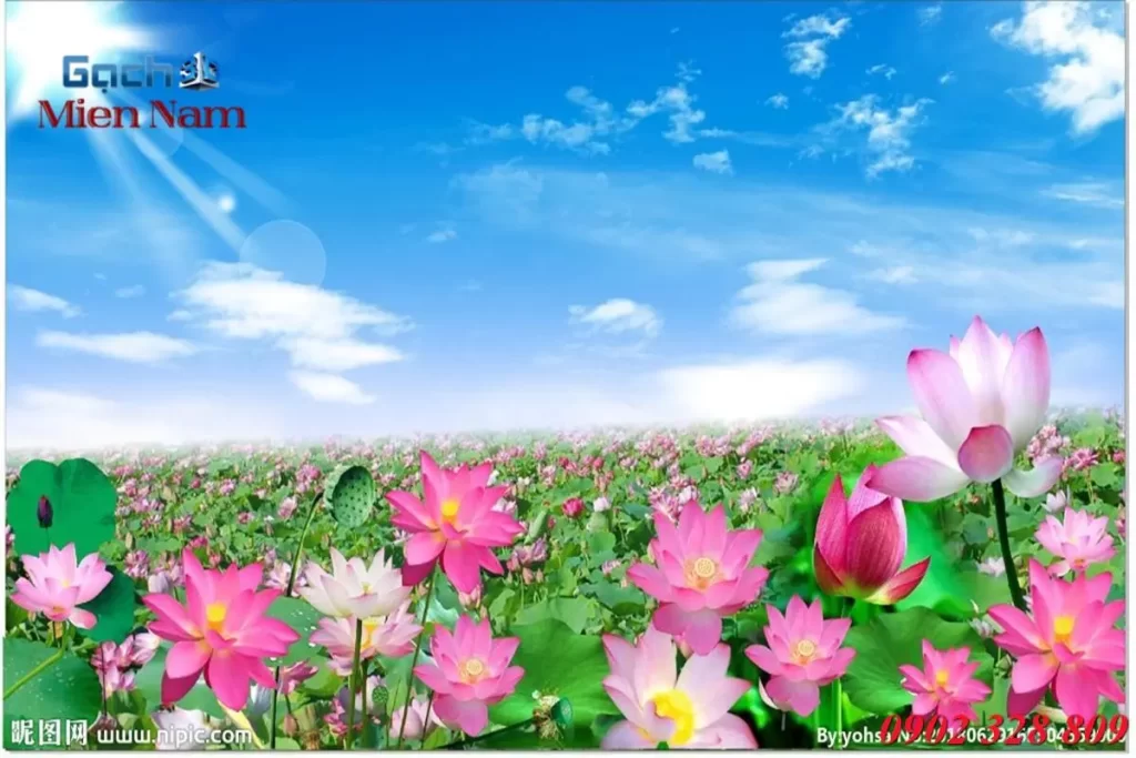 Tạo nên một không gian với hình ảnh sống động tranh gạch 3D hoa sen