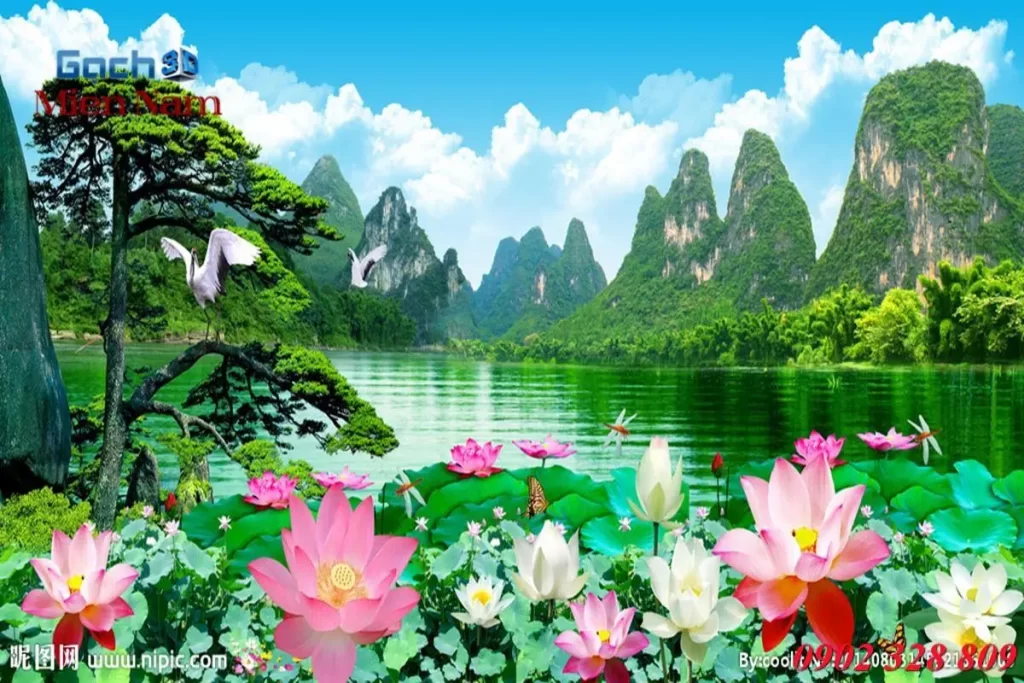 Phân loại tranh gạch 3d hoa sen hiện có trên thị trường