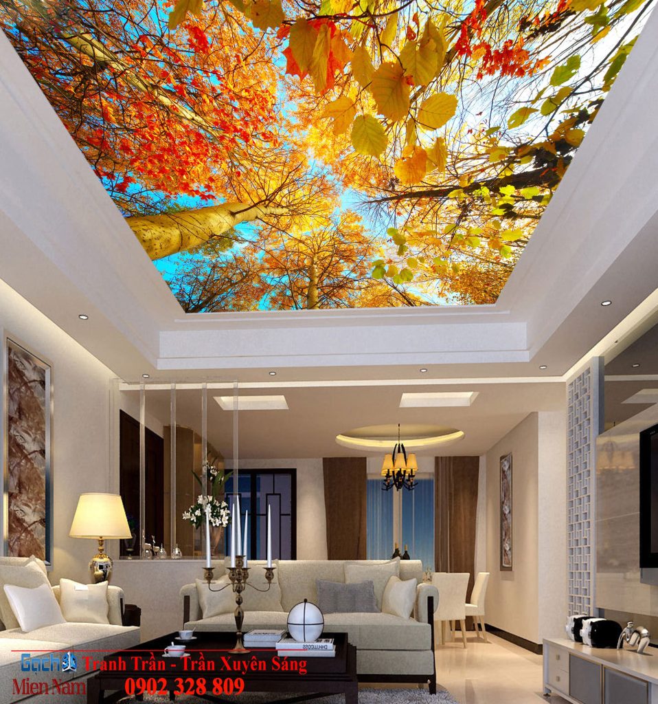 Mẫu Trần xuyên sáng đẹp cho khách hàng tiêu biểu quận 3, tp HCM